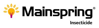 Mainspring