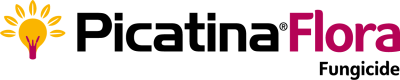 PicatinaFlora