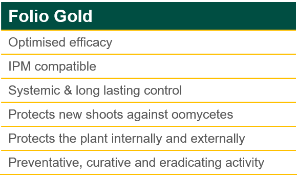 Folio Gold Product Benefits