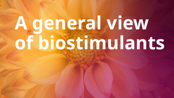 A general view of biostimulants
