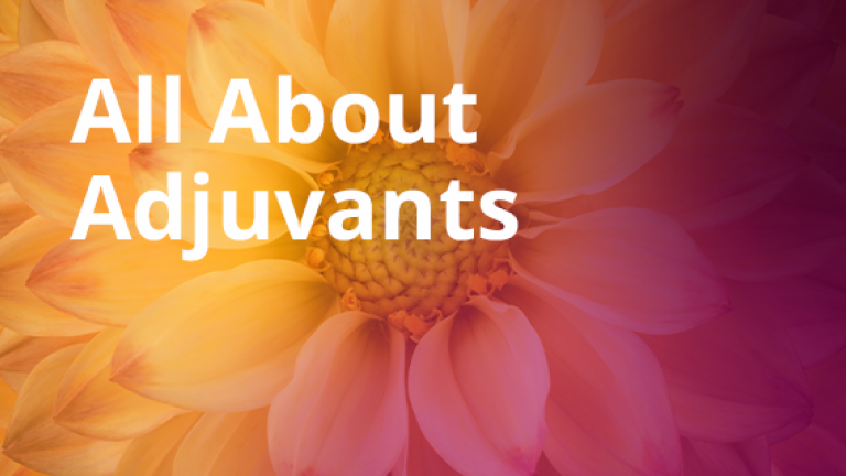 d9_570x320_cta_teaser_all_about_adjuvants.png