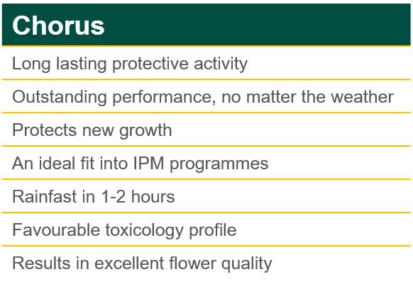 Chorus Product Benefits 