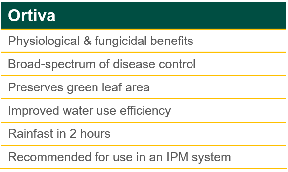 Ortiva Product Benefits