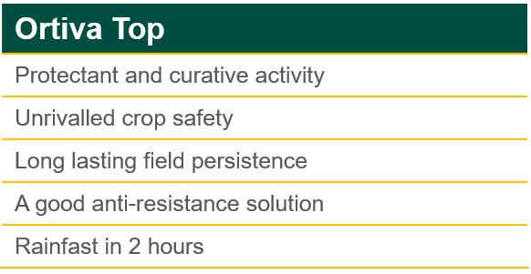 Ortiva Top Product Benefits