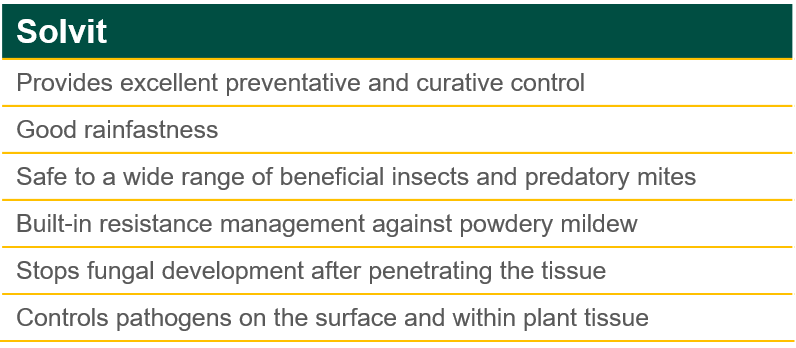 Solvit Product Benefits