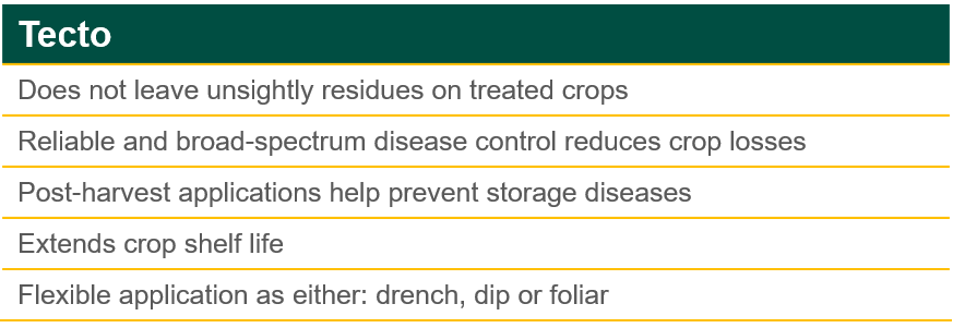 Tecto Product Benefits