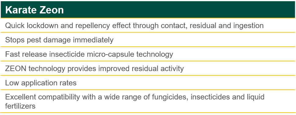 Karate Product Benefits