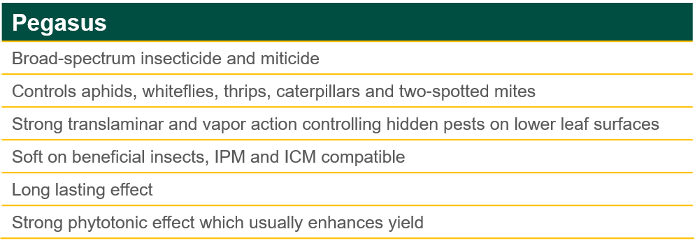 Pegasus Product Benefits