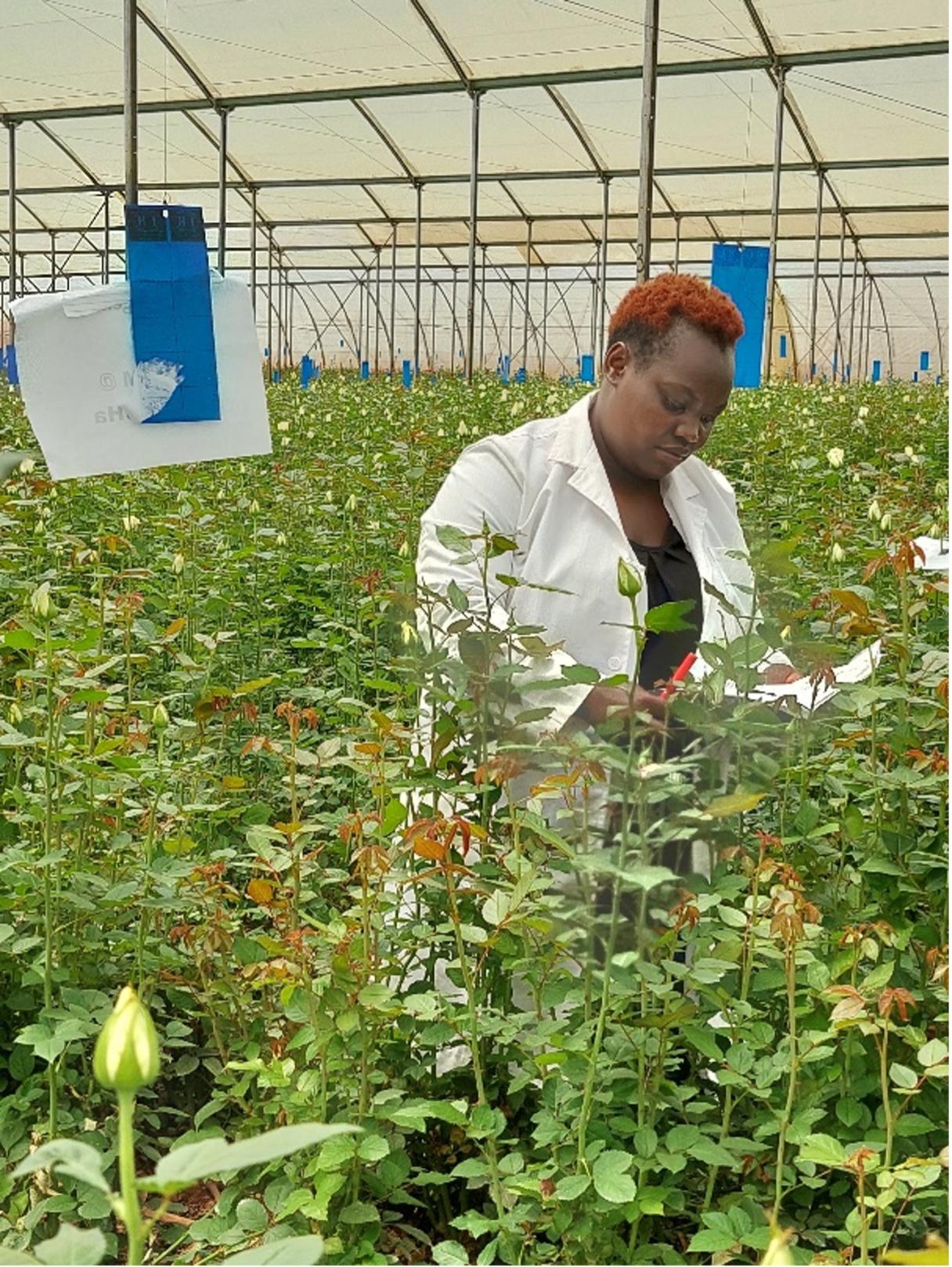 Integrated pest management for sustainable agriculture