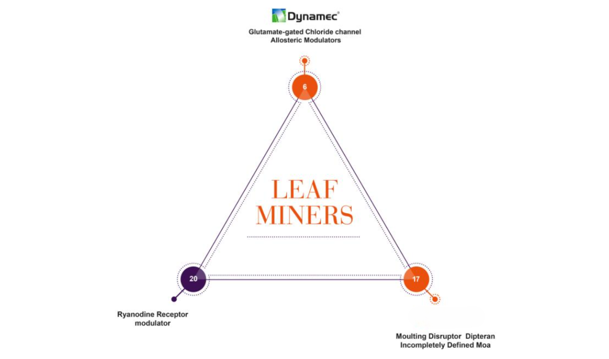Leafminer Resistance Management Guide